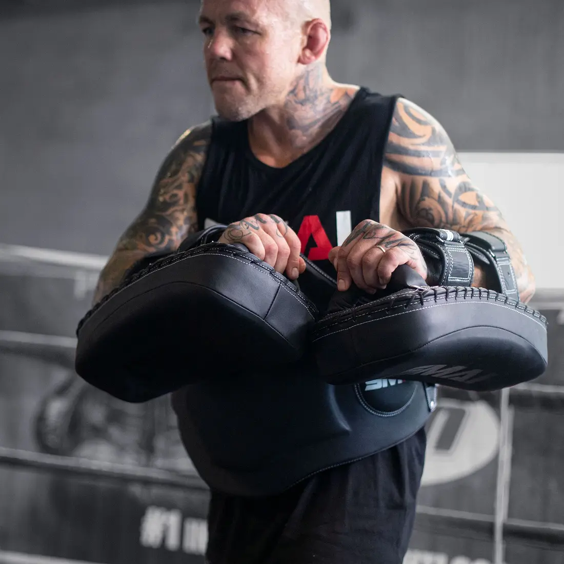 Boxing Gear Shop 40 Boxing Gear Shop -Boxing Gear Shop Elite85 Muay Thai Pads