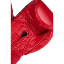 Phenom Boxing SG-210S Red Velcro Sparring Gloves -Boxing Gear Shop PBGL SG210S 12 R c 6