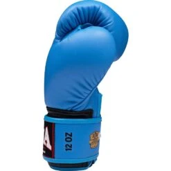 Raja Boxing Standard Sky Blue Velcro Boxing Gloves 15 Raja Boxing Standard Sky Blue Velcro Boxing Gloves -Boxing Gear Shop RBGV 1 SBL c 4