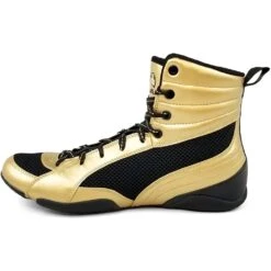 Rival RSX-Guerrero Deluxe Boxing Boots -Boxing Gear Shop RSX G DLX Gold c 2
